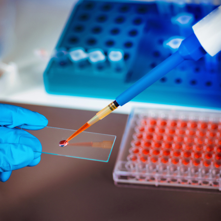 Female scientist researching samples in laboratoryの写真素材