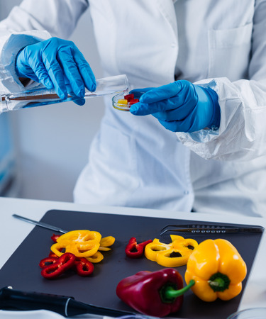 Quality control food safety inspector working with vegetables in a laboratoryの写真素材