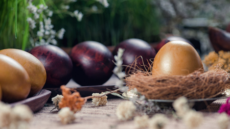 Close up image of beautiful golden Easter egg in nest. Eggs painted in onion skins. Green grain grass background decoration. Easter holiday concept.の写真素材