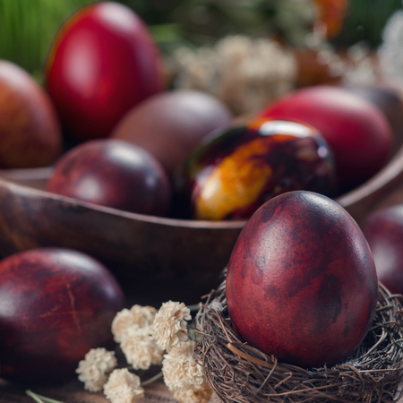 Close up image of beautiful naturally colored Easter egg in nest. Eggs painted in onion skins. Dried white flowers decoration. Easter holiday concept.の写真素材