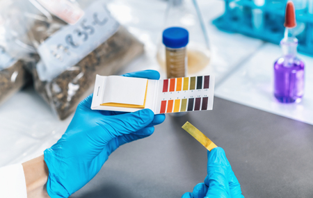 Laboratory Soil Analysis. Female scientist in white coat measuring PH of soil sample with litmus strips. Agrochemical examination of soil.の写真素材