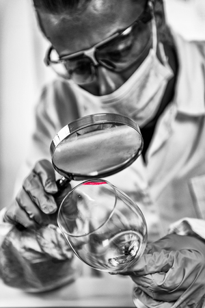 Forensic Evidence examination.  Police laboratory analyst examining glass from a crime scene, looking for fingerprintsの写真素材