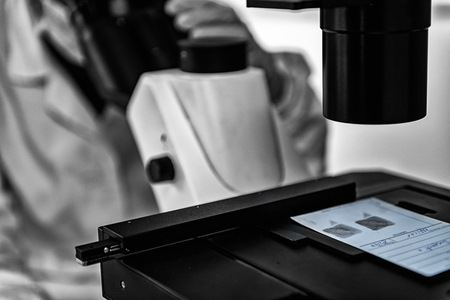 Forensic Science. Police analyst examining fingerprints under the microscopeの写真素材