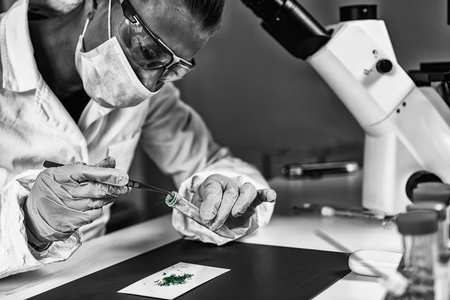 Forensics. Drug laboratory technician examining suspicious matter.