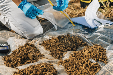 Testing Soil. Agronomist opening soil sample bag in the field. Environmental protection, organic...