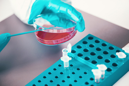 Microbiology, working with petri dishes