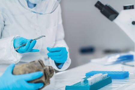 Bioarcheology. Archaeologist analyzing human skull in DNA archaeology lab.