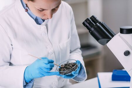 Portrait of young archeology scientists analyzing charred wood in petri dish.の写真素材