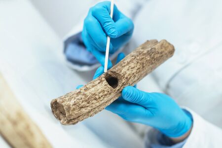 Archaeology researchers in laboratory reconstruct ancient tools.