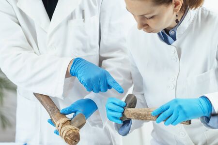 Archaeology researcher in laboratory reconstructs usage of ancient tools.の写真素材
