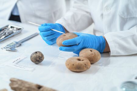 Archaeologist analyzing ancient artifacts, loom weight or fishing net weight.の写真素材