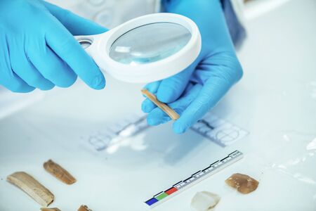 Archaeology researcher performing lithic analysis with magnifying glass and measuring artifacts with...