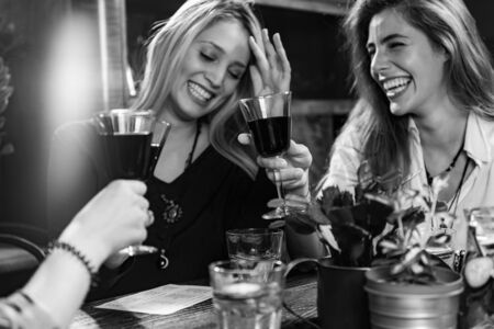 Red Wine Toasting. Female Friends Toasting With Red Wine, Having Fun. Infused water on the table.の写真素材