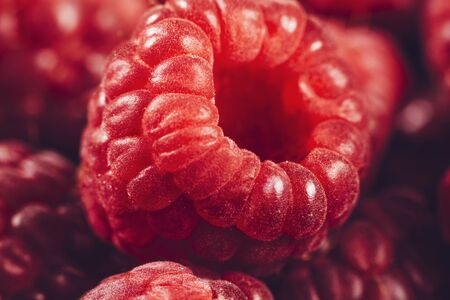 Fresh Raspberries Macro Close Up. Antioxidant fruitの写真素材