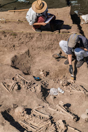 Archaeological excavations. Two female archaeologists with tools conducting research on ancient human bones.の写真素材