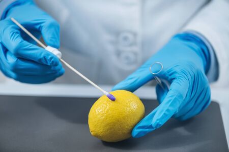 Food quality control expert examining lemon citrus fruit in laboratory, testing for presence of...