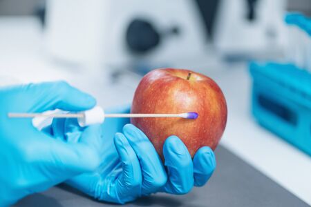 Food Safety Laboratory Analysis - Biochemist looking for presence of pesticides in applesの写真素材