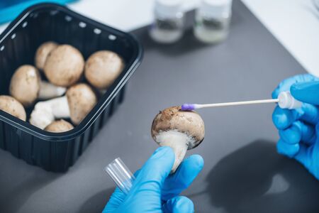 Food Safety, Pesticide Analysis of Mushrooms in Laboratory - Biochemist looking for presence of Thiabendazole pesticide in Mushroomsの写真素材