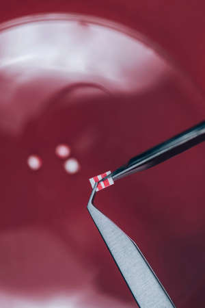 LSD Micro Dose. Reduced dose or micro dose of illegal drug LSD, typically used for enhancement of creativity, focus, productivity or as a relief from anxiety or depression disorders.の写真素材