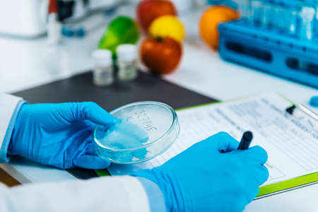 Food Quality Assessment in Microbiology Laboratory, microbiologist filling forms, following standard...