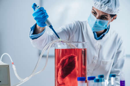 Scientist injecting growth hormone into a meat sample in laboratoryの写真素材