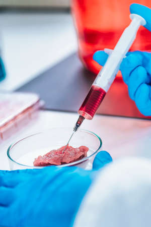 Scientist injecting growth hormone into a meat sample in laboratoryの写真素材