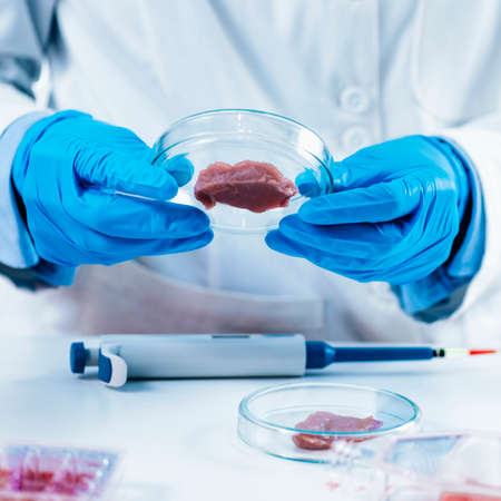 Female scientist looking at meat sample in petri dish in laboratoryの写真素材