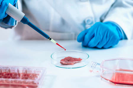 Scientist dropping growth serum with micropipette on meat sample in a petri dishの写真素材