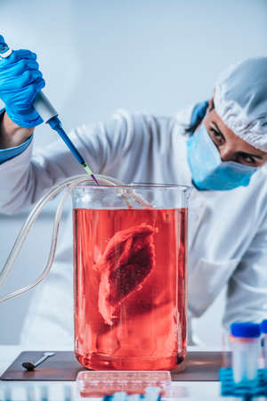 Lab-grown meat or in vitro meat. Food technology of the futureの写真素材