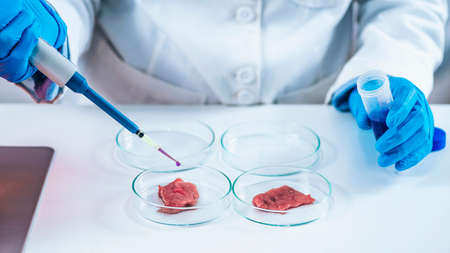 Scientist dropping growth serum with micropipette on meat sample in a petri dishの写真素材