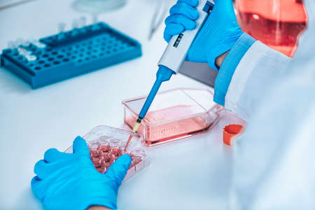 Biotechnology female researcher in laboratory working with cell cultureの写真素材