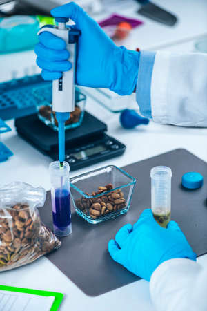 Pet Food Testing Laboratory.  Microbiologist Searching for the Presence of Bacteria in Dry Dog Food