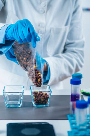 Sample preparation for pet food quality control in laboratory. Laboratory Technician pouring dry cat food in glass jarの写真素材