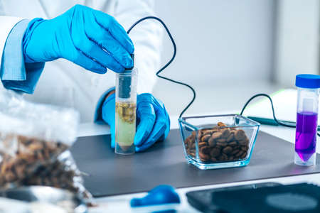 Scientist measuring PH of dissolved pet food in sample tube with PH meter.の写真素材