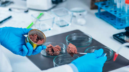 Microbiologist preparing sample of canned pet food for quality control test in laboratory.の写真素材