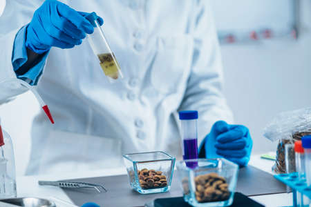 Laboratory test tube with dry pet food sample dissolved in water for quality control analysis.