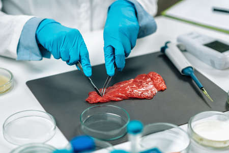 Food safety and quality testing of red meat. Laboratory technician taking a sample of beef, close up.の写真素材