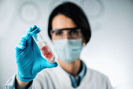 Food quality control of red meat. Sensory evaluation of beef sample in a test tube