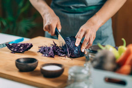Fermentation process. Woman preparing vegetables for fermentation at home. Cutting red cabbage.の写真素材