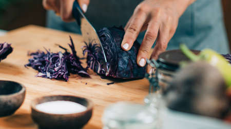 Fermentation process. Woman preparing vegetables for fermentation at home. Cutting red cabbage.の写真素材