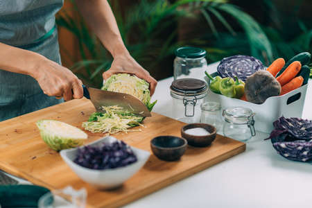 Fermentation process. Woman preparing vegetables for fermentation at home. Cutting cabbage and putting in the jar.の写真素材