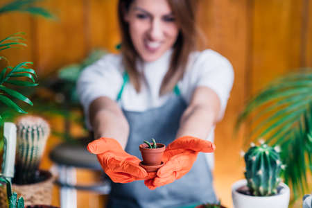 Female Gardener Holding a Potted Plantの写真素材