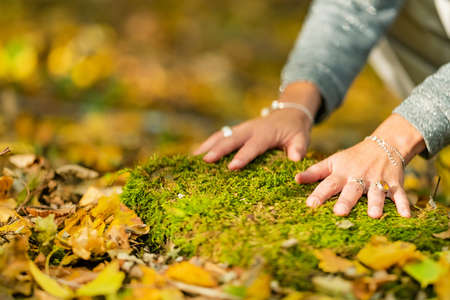 Female hands touching the ground, connecting to earth, grounding conceptの写真素材