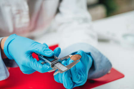 Numismatics expert in a museum research center identifying and documenting coin collection, using...