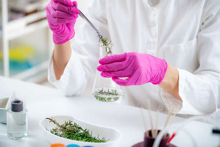 Aromacology Expert Preparing Flask with Fragrance Ingredientsの写真素材