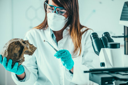 Forensic Science in Lab. Forensic Scientist examining skull with evidencesの写真素材