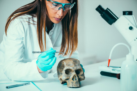 Forensic Science in Lab. Forensic Scientist examining skull with evidencesの写真素材