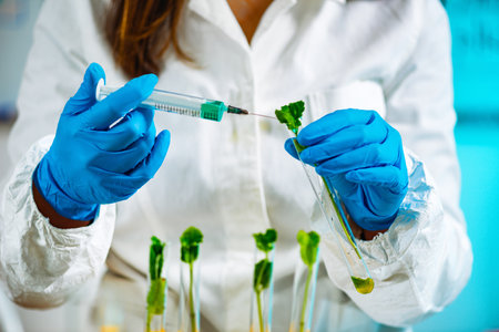 Biologist Inspecting Plant Seedlingの写真素材