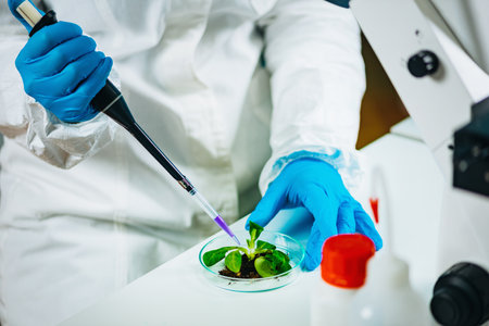 Biologist Examining Plant Rootsの写真素材