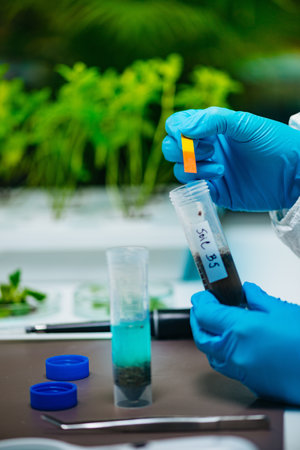 Soil Examinationの写真素材